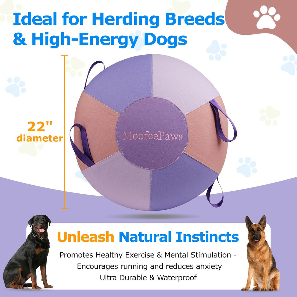 MoofeePaws durable waterproof ball resists chews and rough rolls during training.