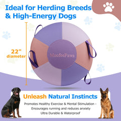 MoofeePaws durable waterproof ball resists chews and rough rolls during training.