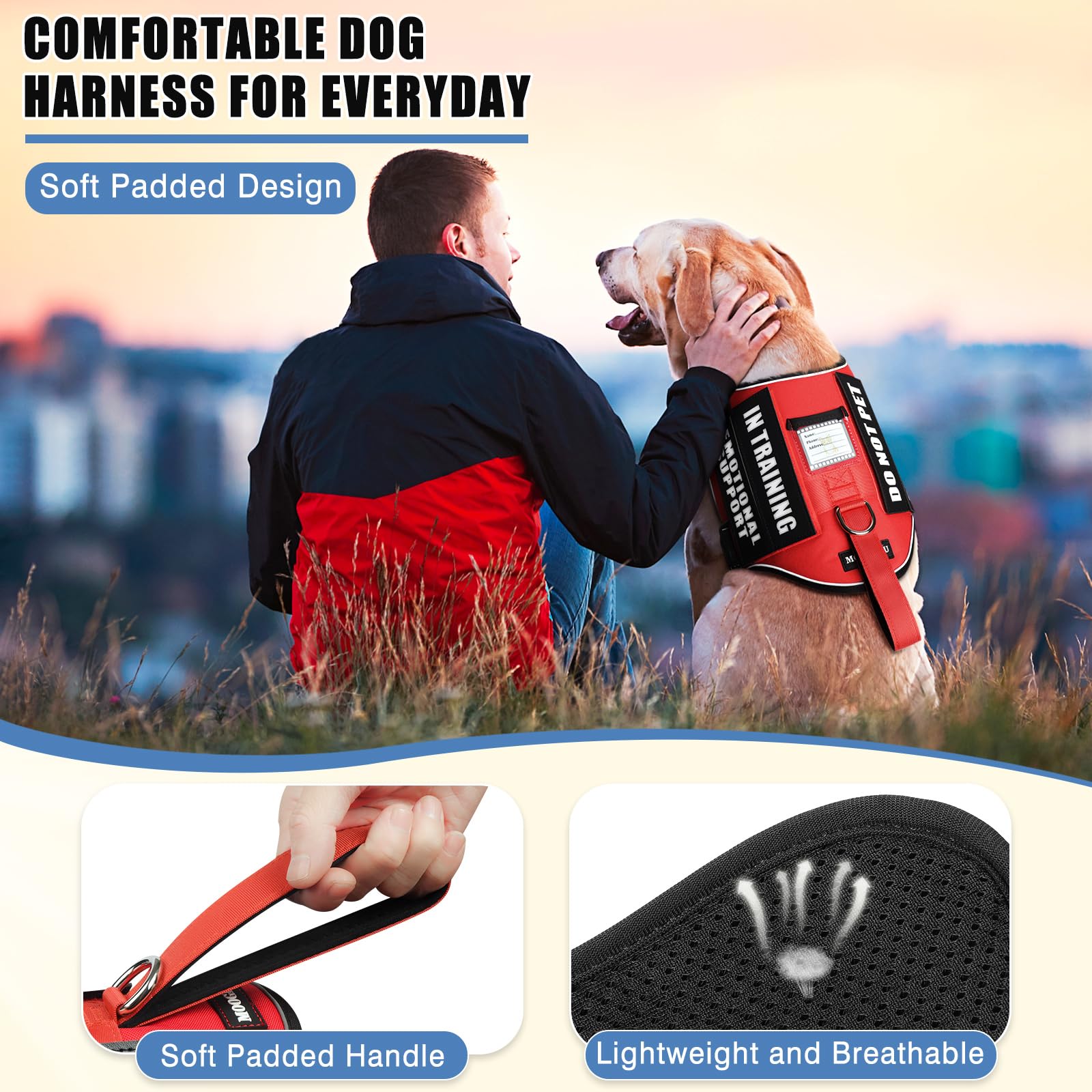 MOOGROU bright patches display SERVICE DOG and IN TRAINING.