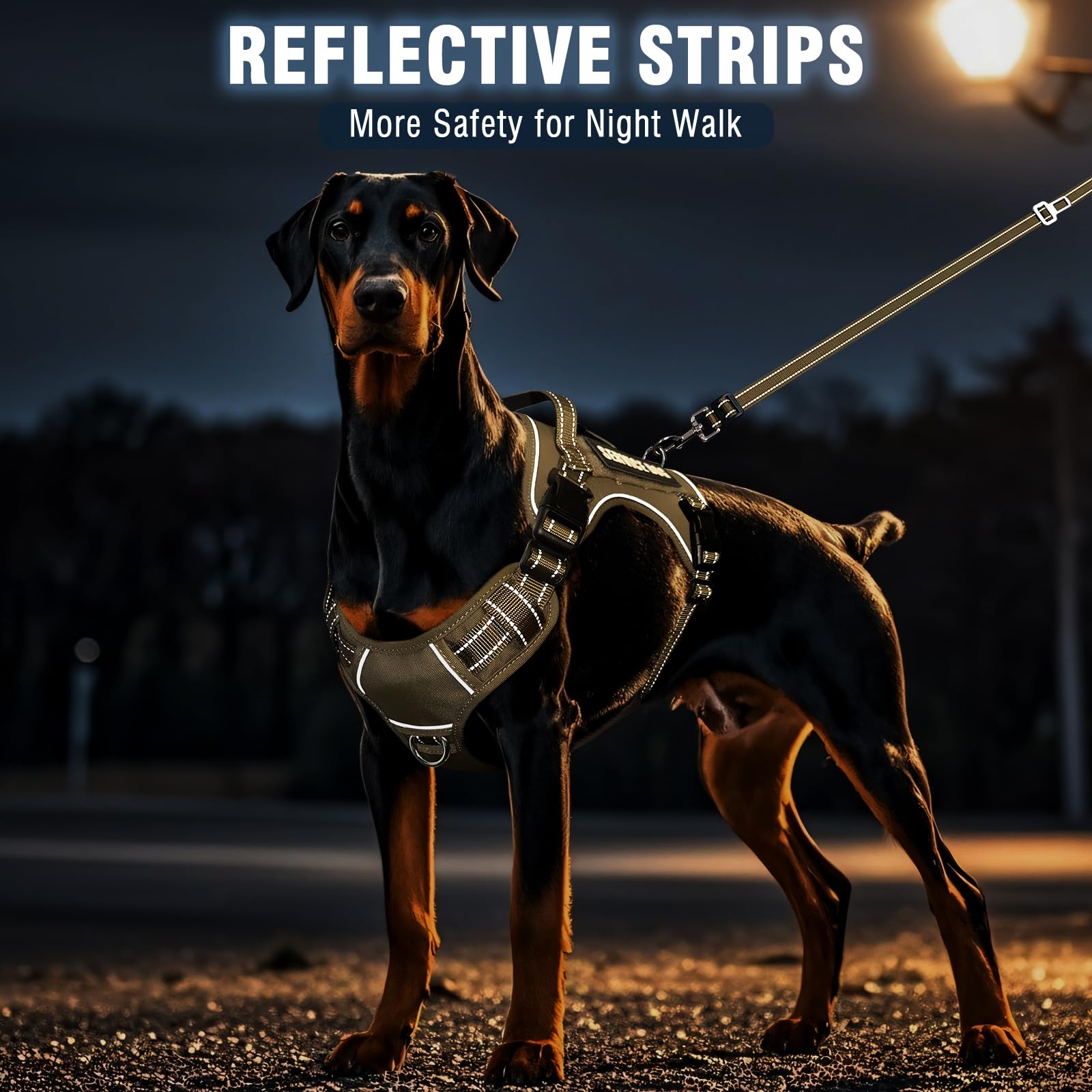 MOOGROU car seat belt integration keeps dogs safe while traveling
