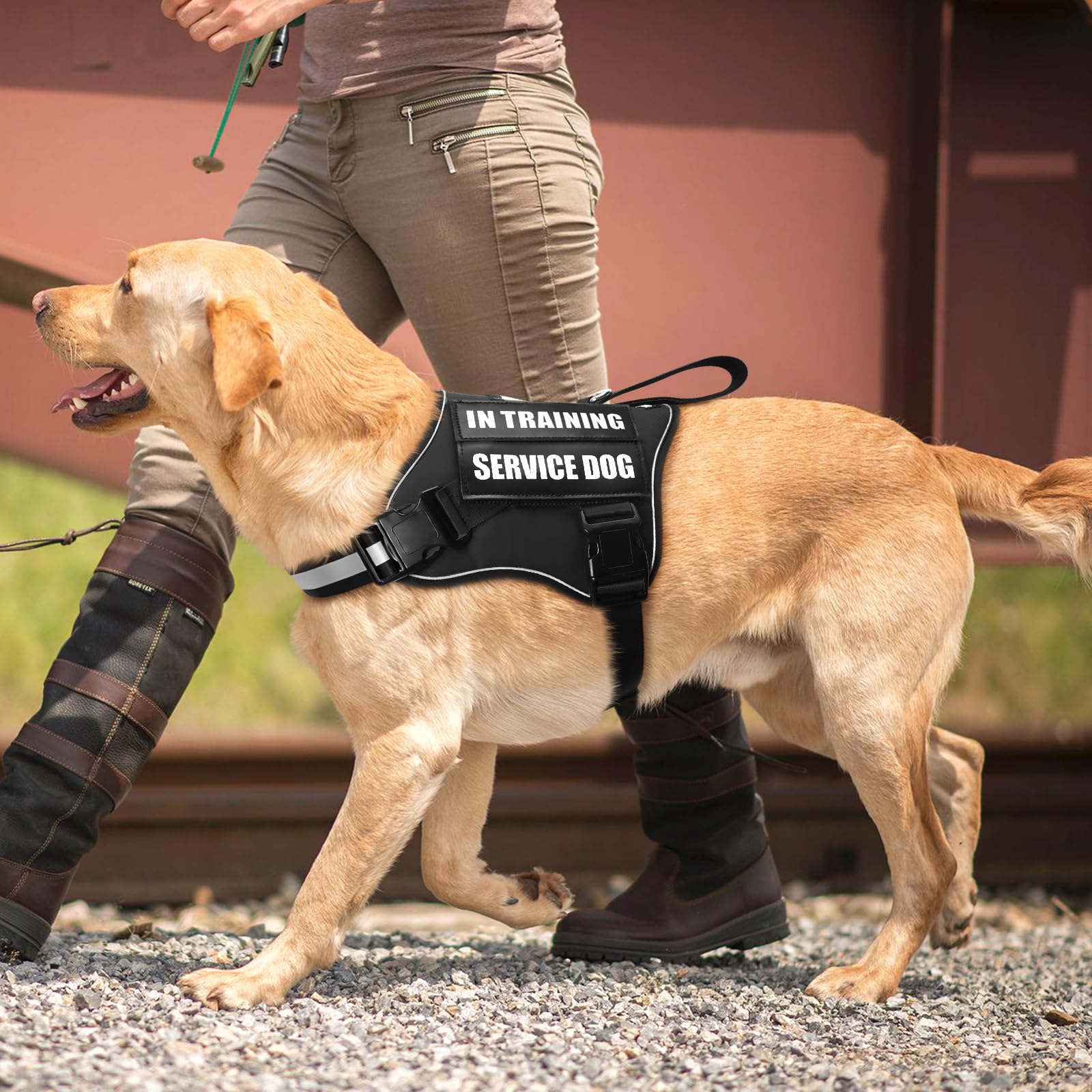 MOOGROU easy-on, easy-off buckle design allows quick harnessing.