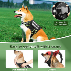 MOOGROU harness showing chest and neck buckles for easy sizing.