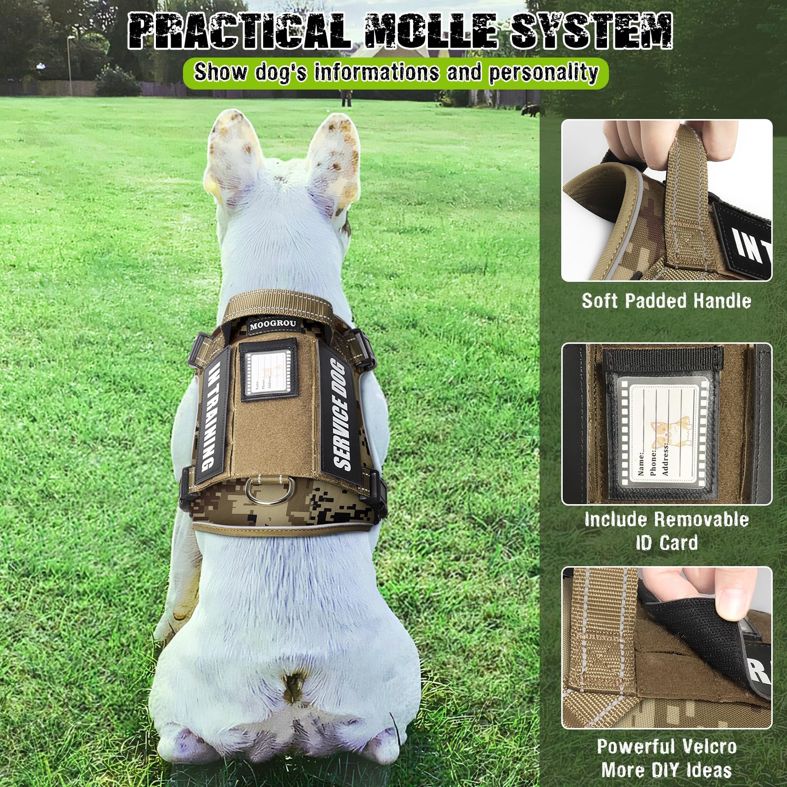 MOOGROU 2-in-1 leash demonstrates car-seat belt compatibility for safe travel.