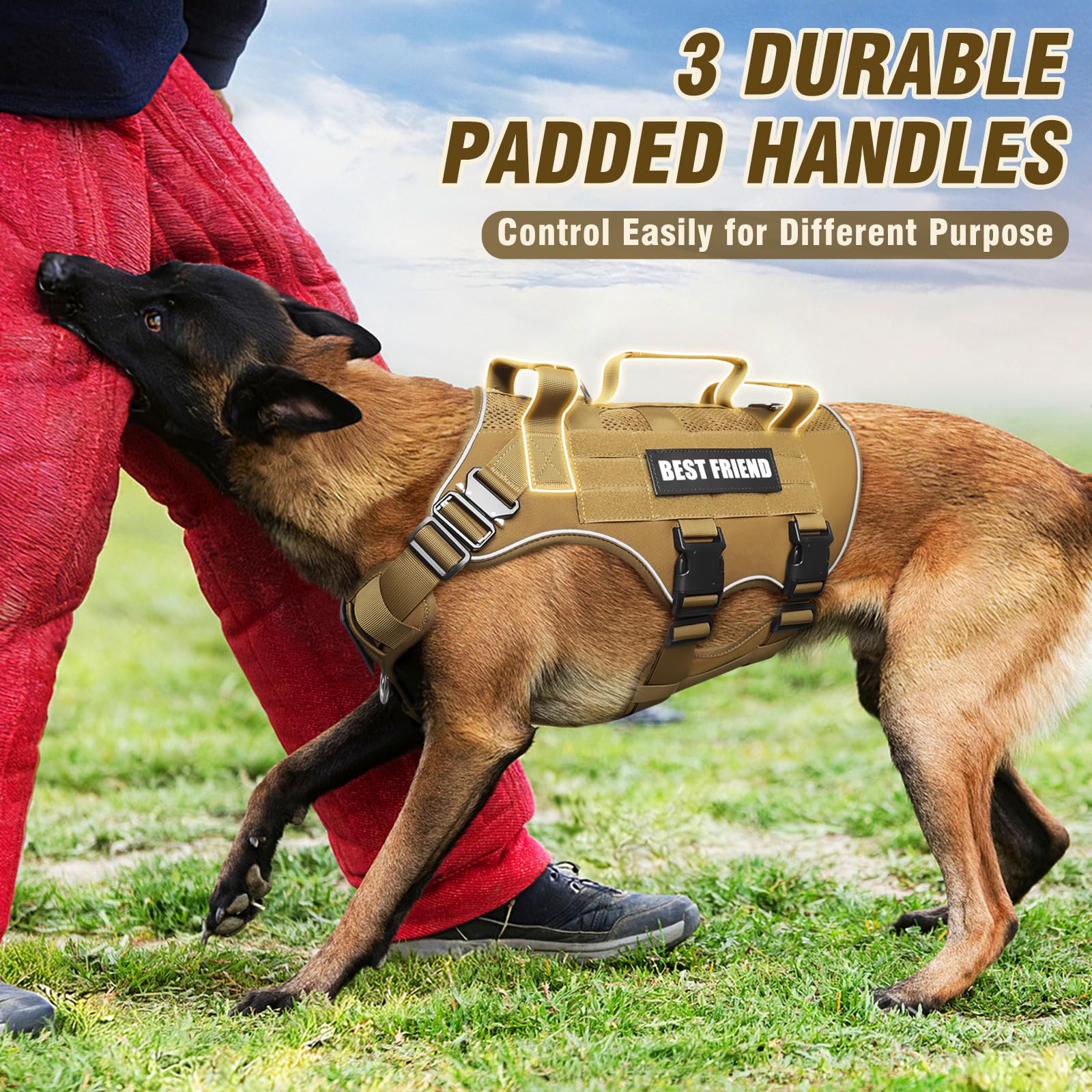 MOLLE panels on MOOGROU harness support pouches and name tags