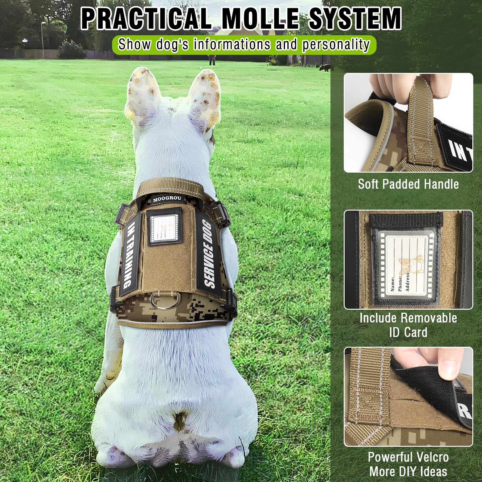 MOOGROU MOLLE patch-window shows mood patches for personality expression.