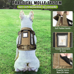 MOOGROU MOLLE patch-window shows mood patches for personality expression.