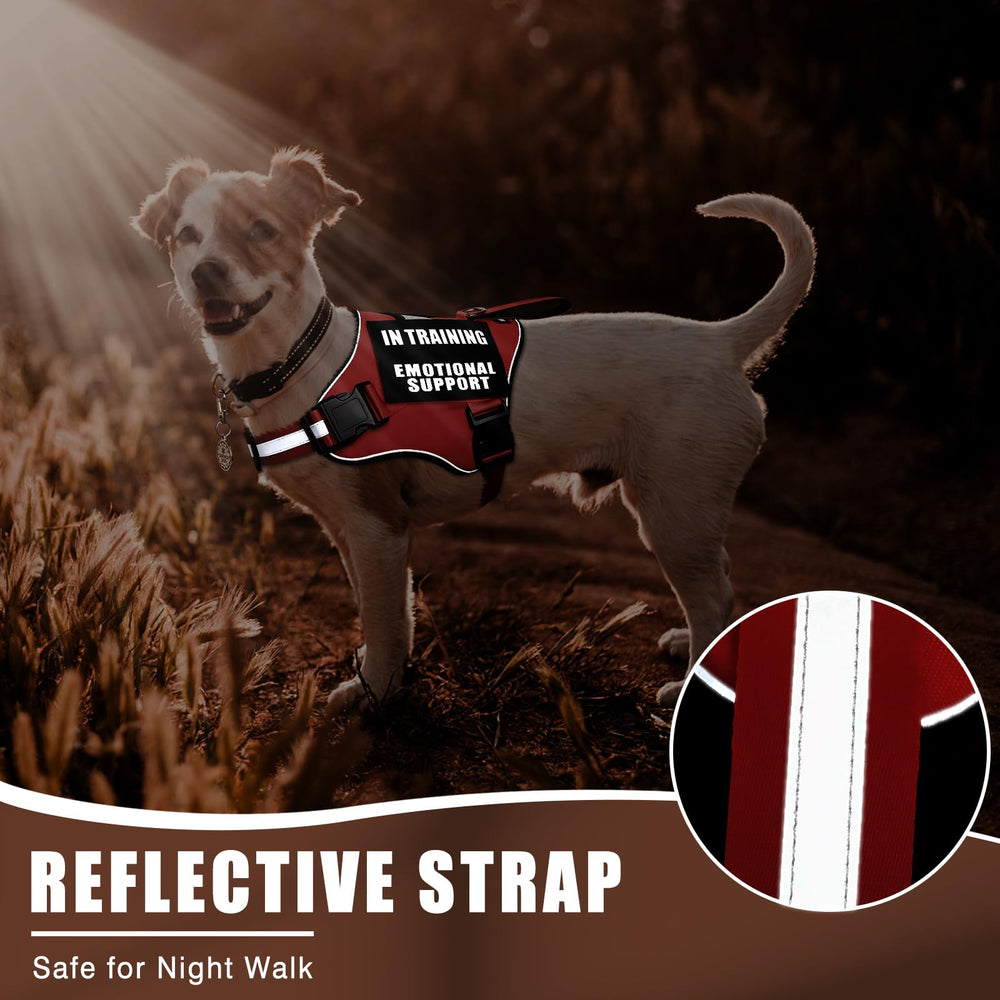 MOOGROU padded mesh vest ensures comfort for dogs of all sizes.