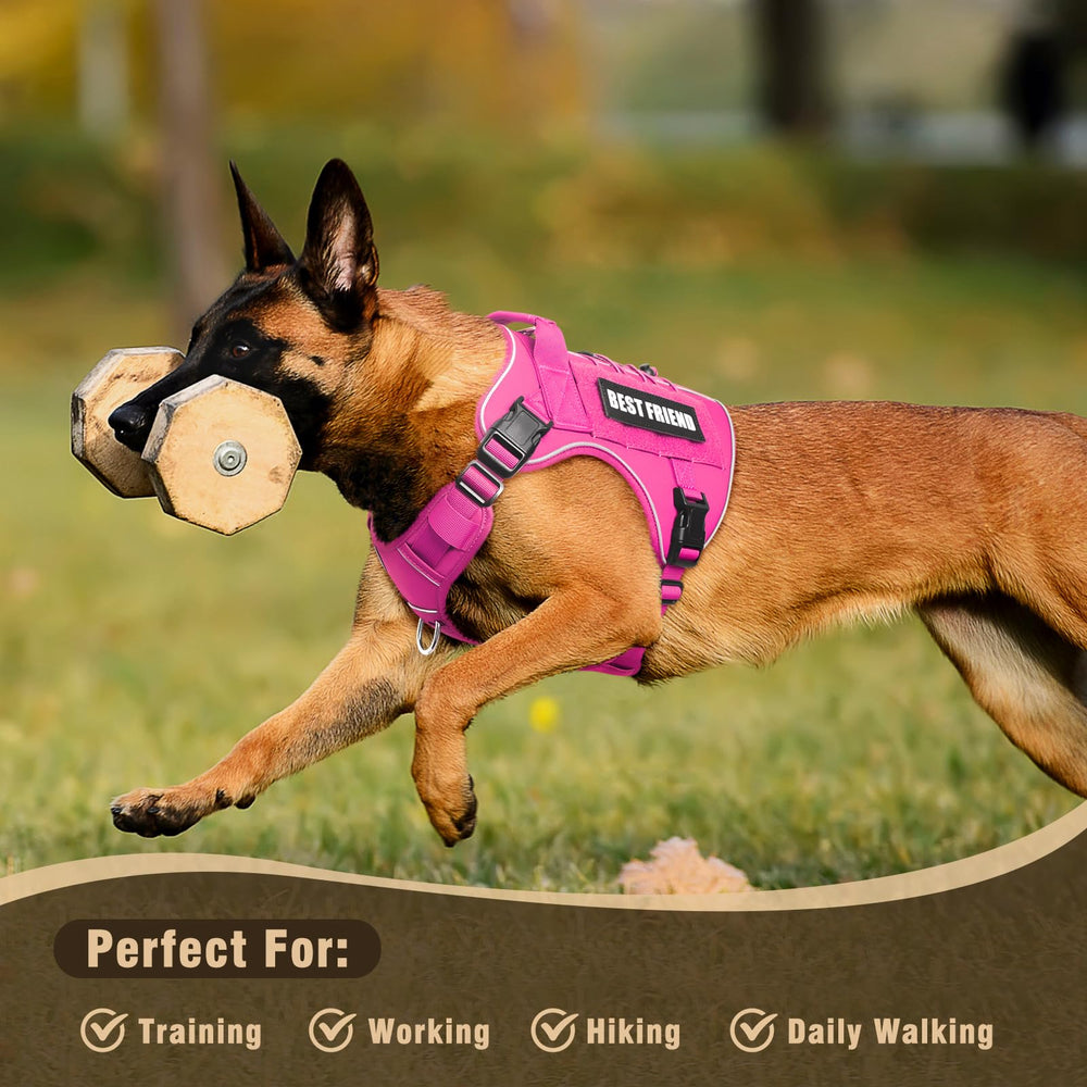 MOOGROU Tactical Dog Harness pink on a dog during a walk for support.