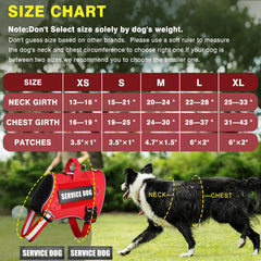 MOOGROU harness with padded back handle for easy guiding and control