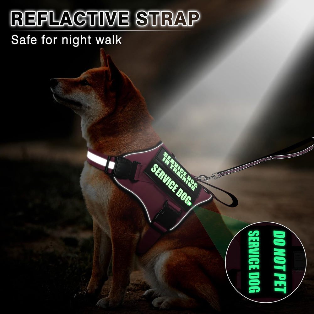 MOOGROU harness with soft breathable lining for daily comfort.