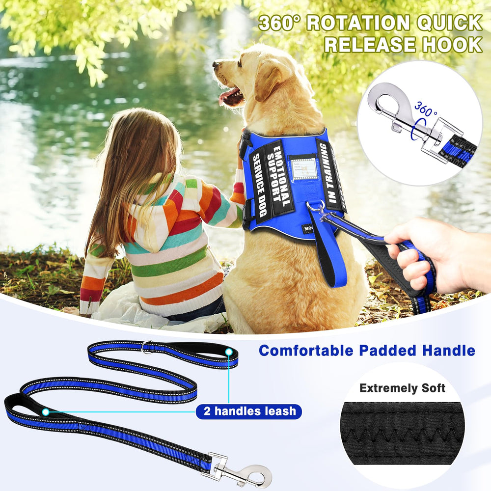 MOOGROU 5 foot leash with soft padded handles for gentle control during walks.