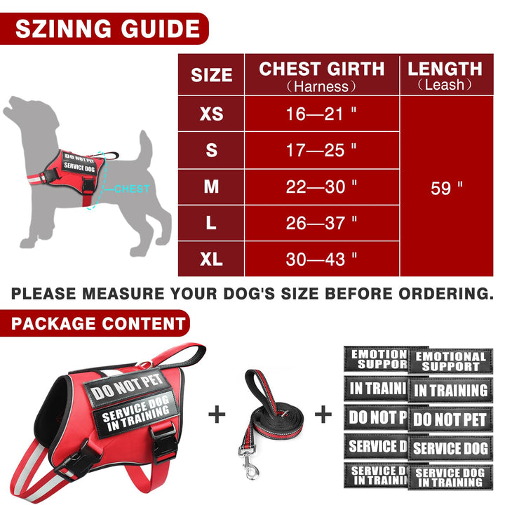 MOOGROU leash with soft padded handles for comfortable control during walks