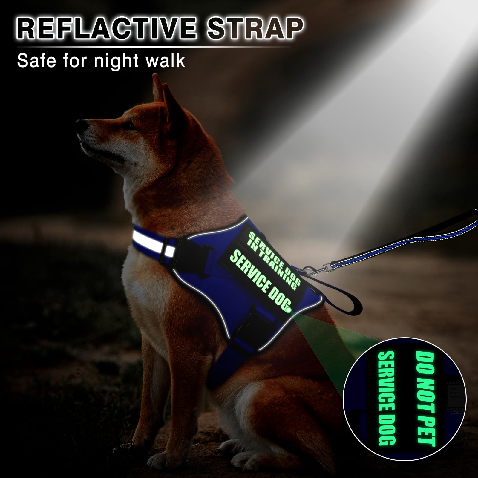 MOOGROU name card attachment on vest for quick dog identification.