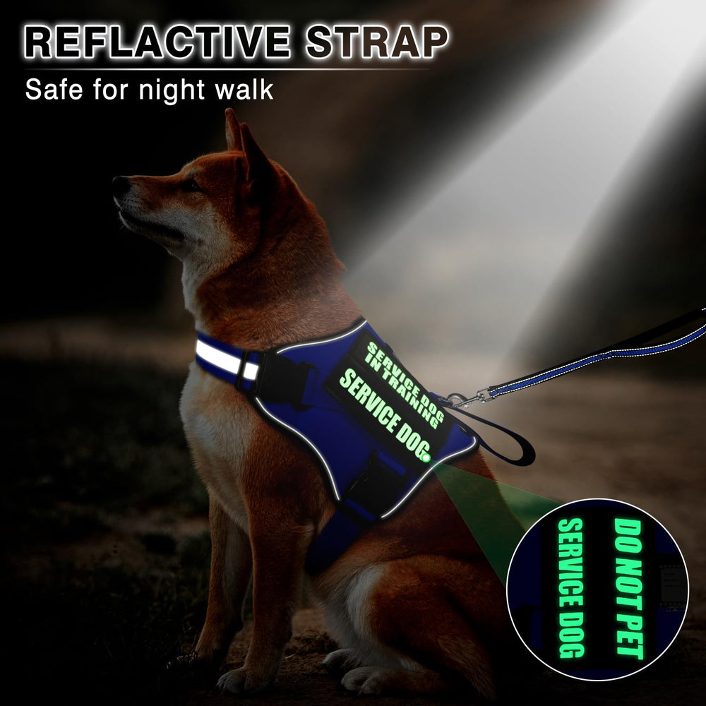 MOOGROU name card attachment on vest for quick dog identification.