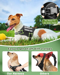 MOOGROU glow-in-dark patches on harness for clear visibility and status icons