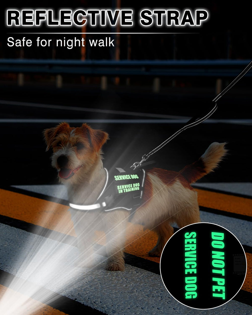 MOOGROU reflective straps improve night visibility during walks