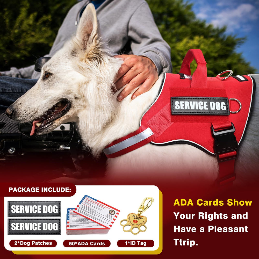 MOOGROU vest back with three metal D-rings for leash and accessory options