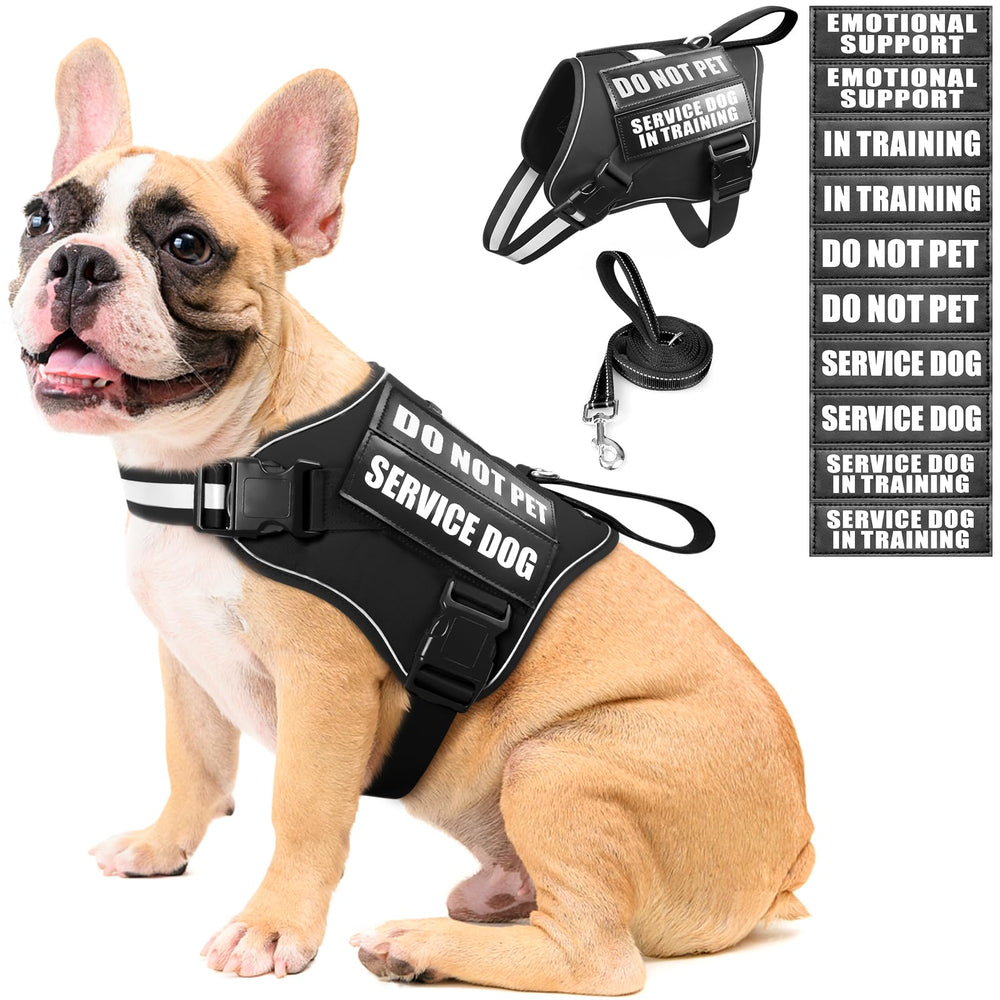 MOOGROU service dog vest-harness worn on a dog for safe daily walks.