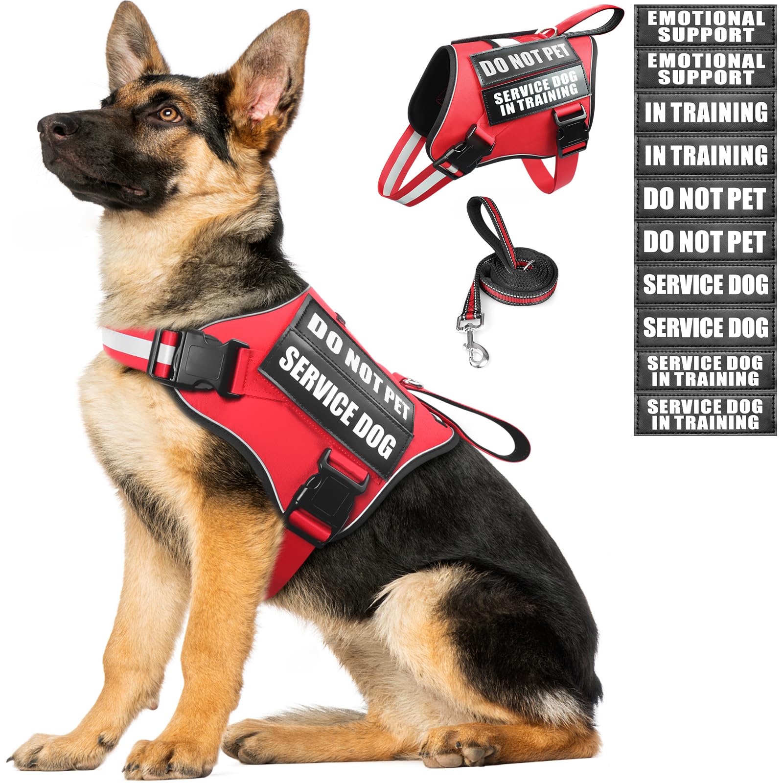 MOOGROU service dog vest harness on a small dog for everyday training