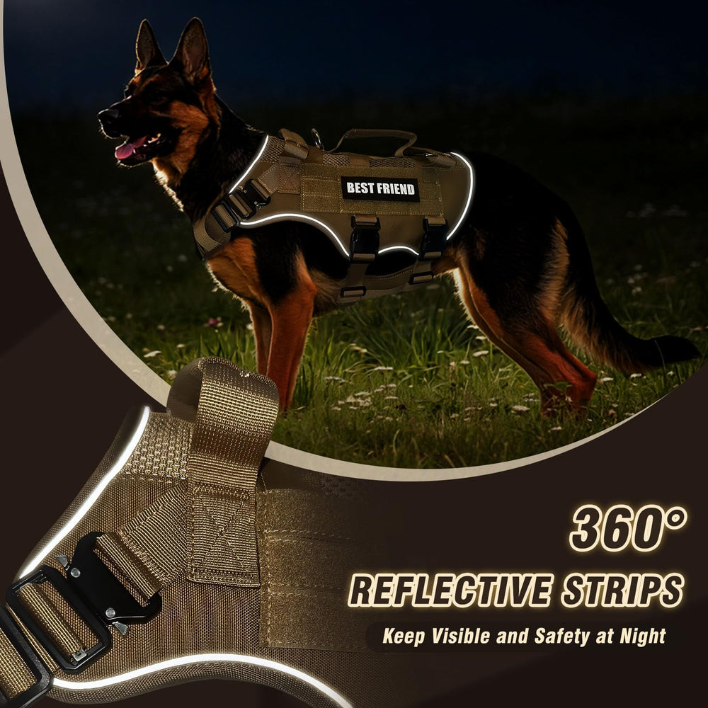 Seven adjustable points provide a snug fit across breeds