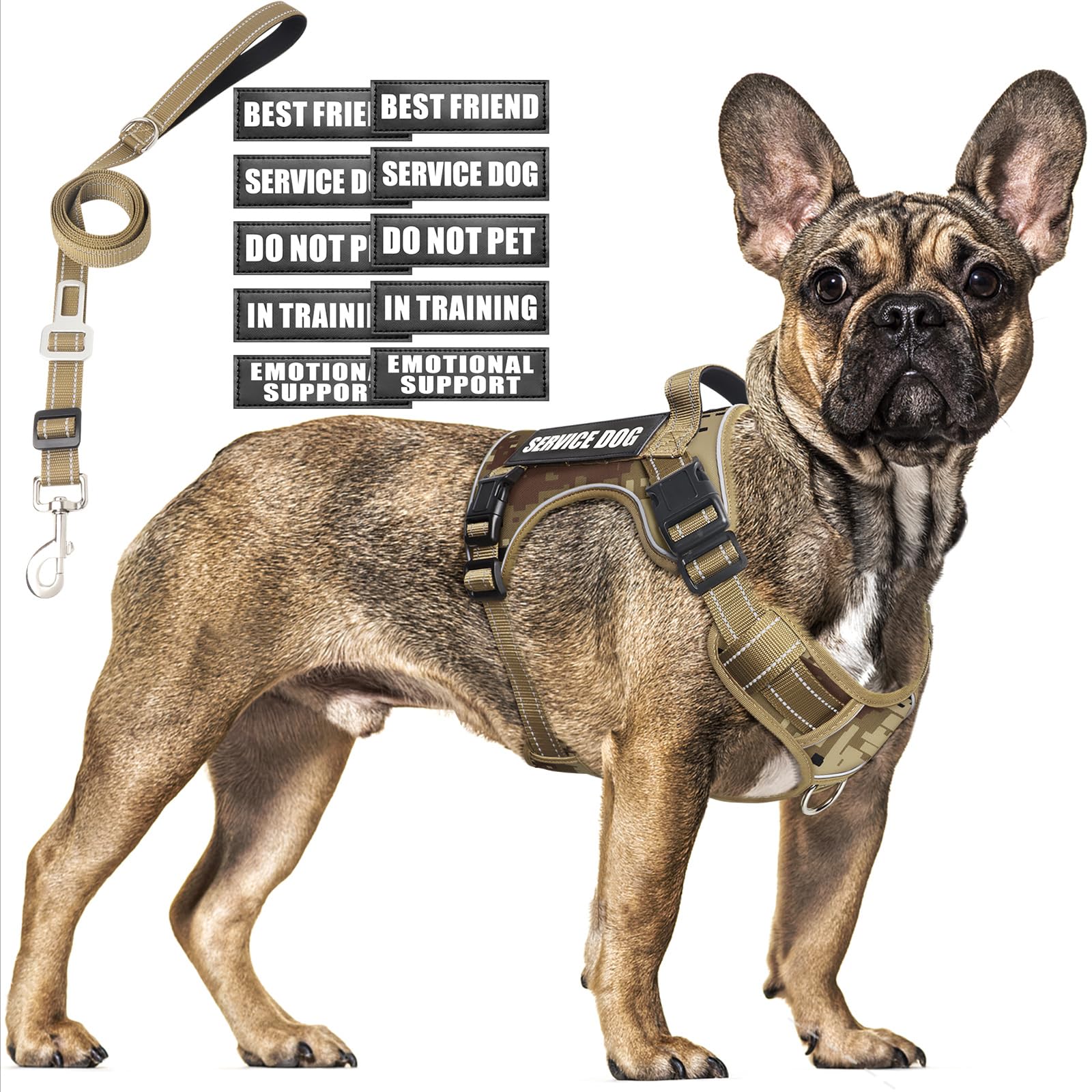 MOOGROU tactical dog harness mid-size for secure training and daily walks.