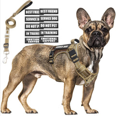 MOOGROU tactical dog harness mid-size for secure training and daily walks.
