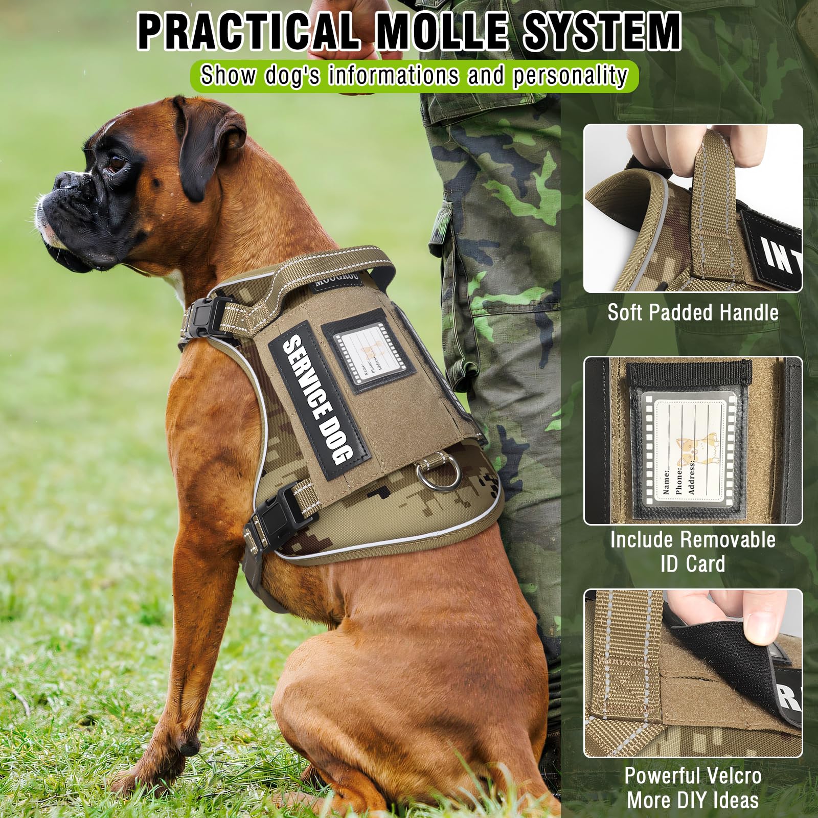 MOOGROU 2-in-1 leash demonstrates car seat belt compatibility for safe travel