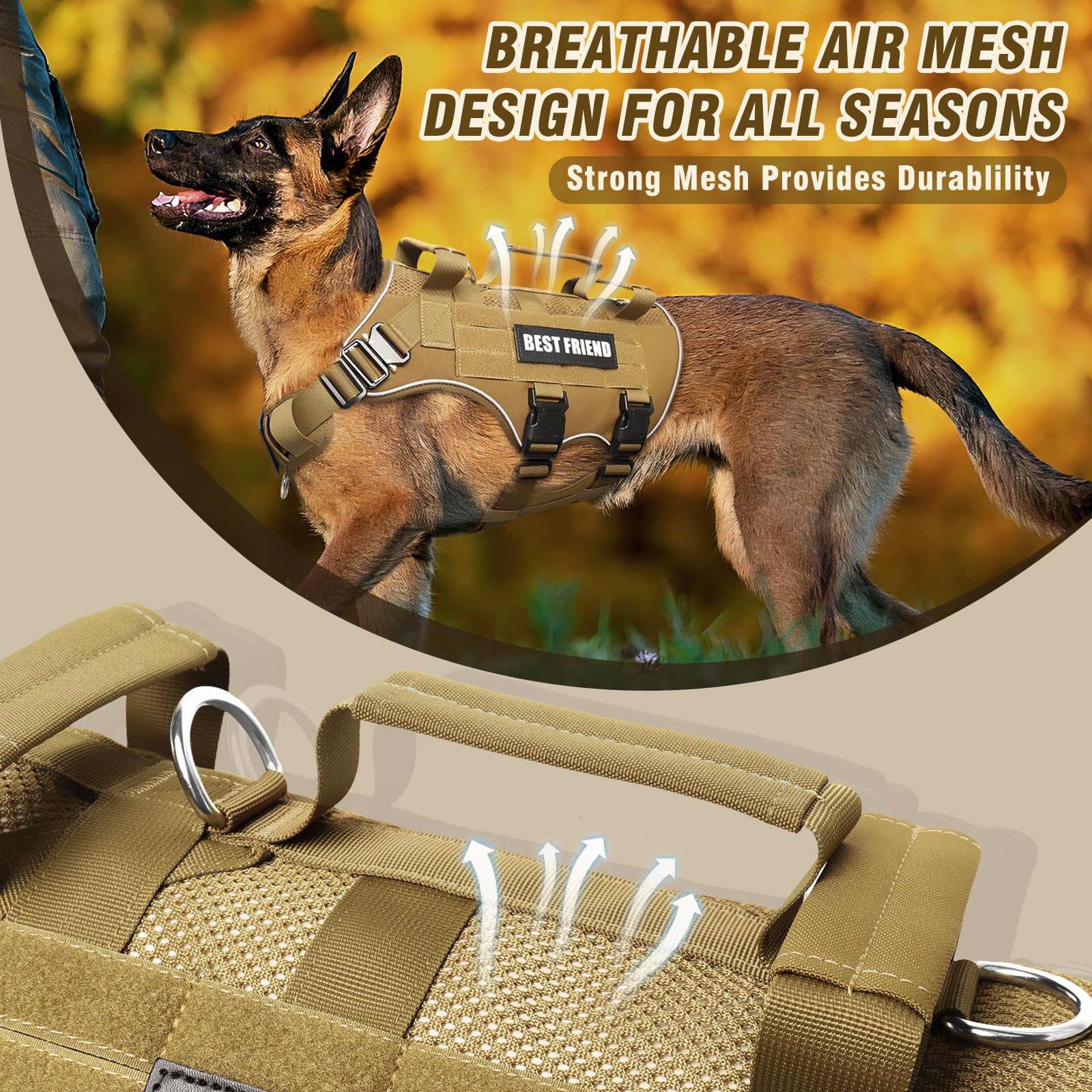 Three back handles and D-rings for versatile leash control
