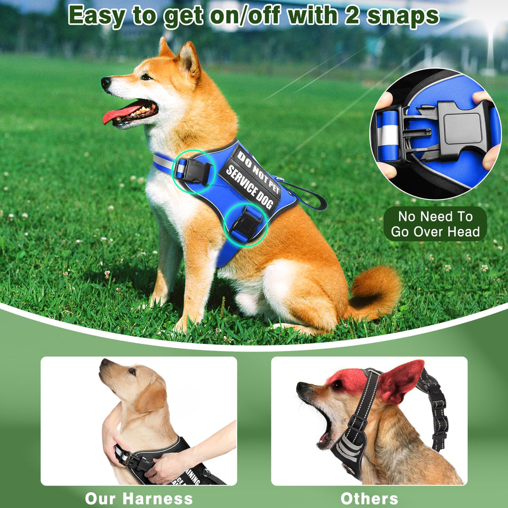 MOOGROU two-buckle design enables quick on off adjustments.