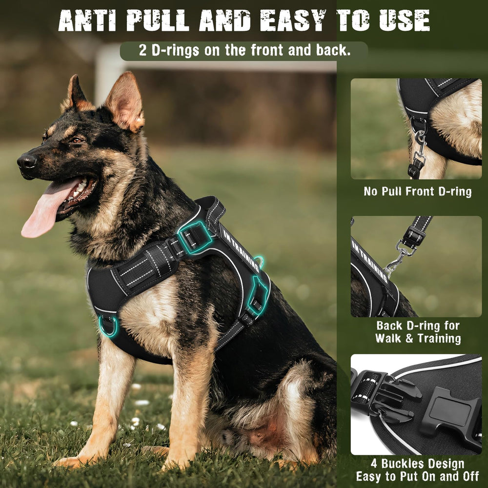 MOOGROU two-in-one leash in use as a car-friendly training accessory