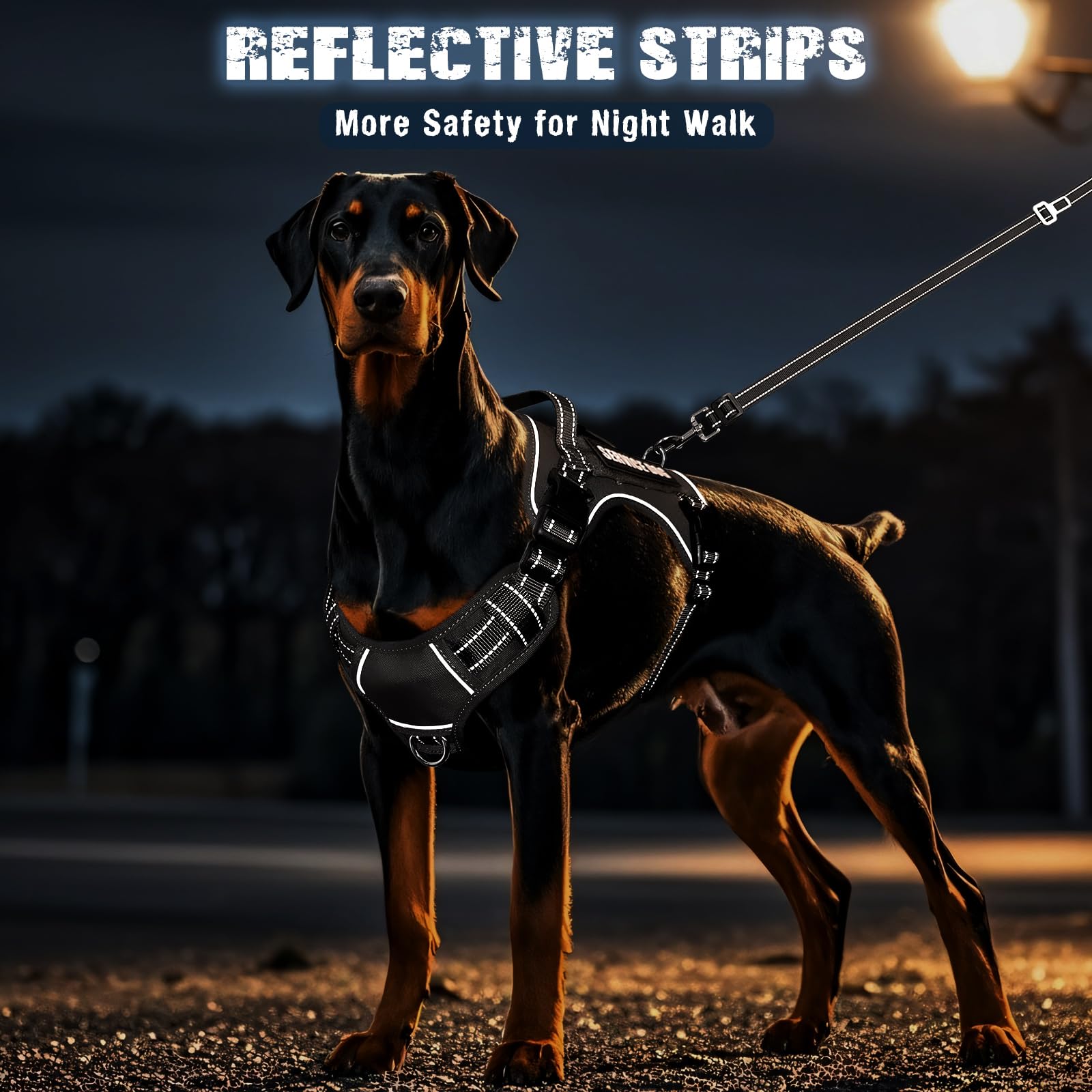 MOOGROU two-in-one leash used as car seat belt for safe travel