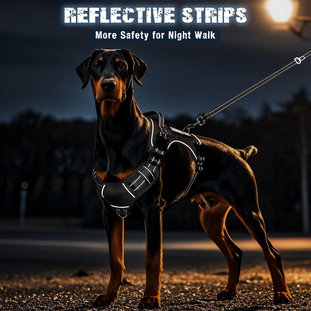 MOOGROU two-in-one leash used as car seat belt for safe travel