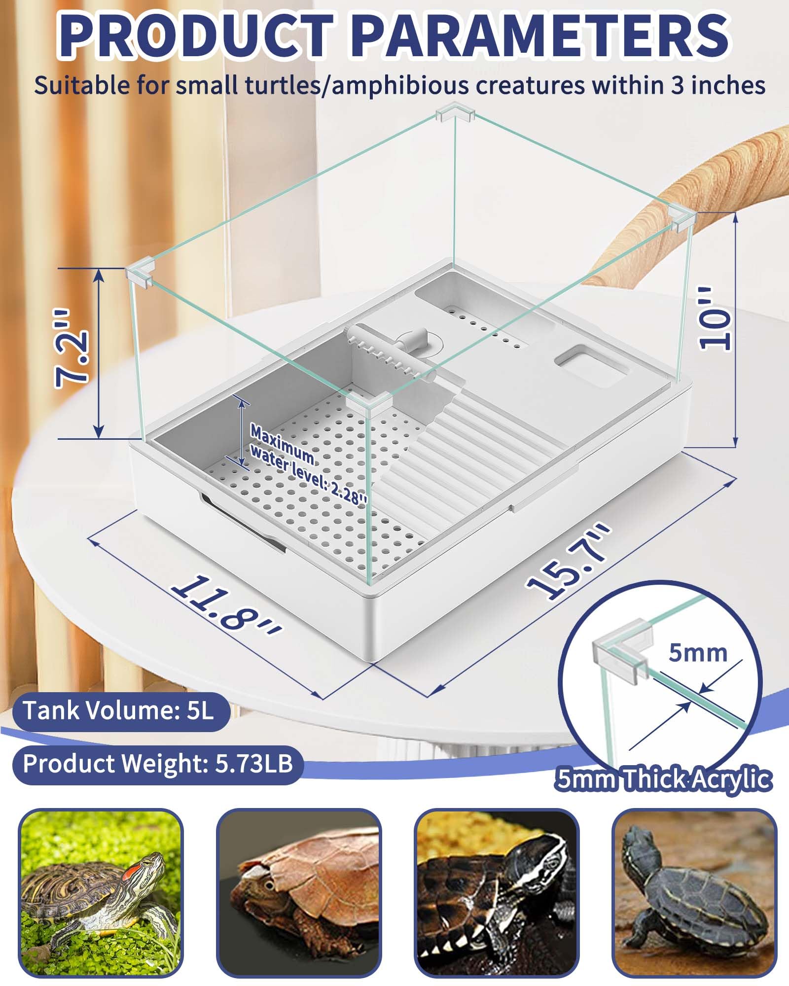MoonOrange 360-degree lamp with UVA/UVB bulbs for basking