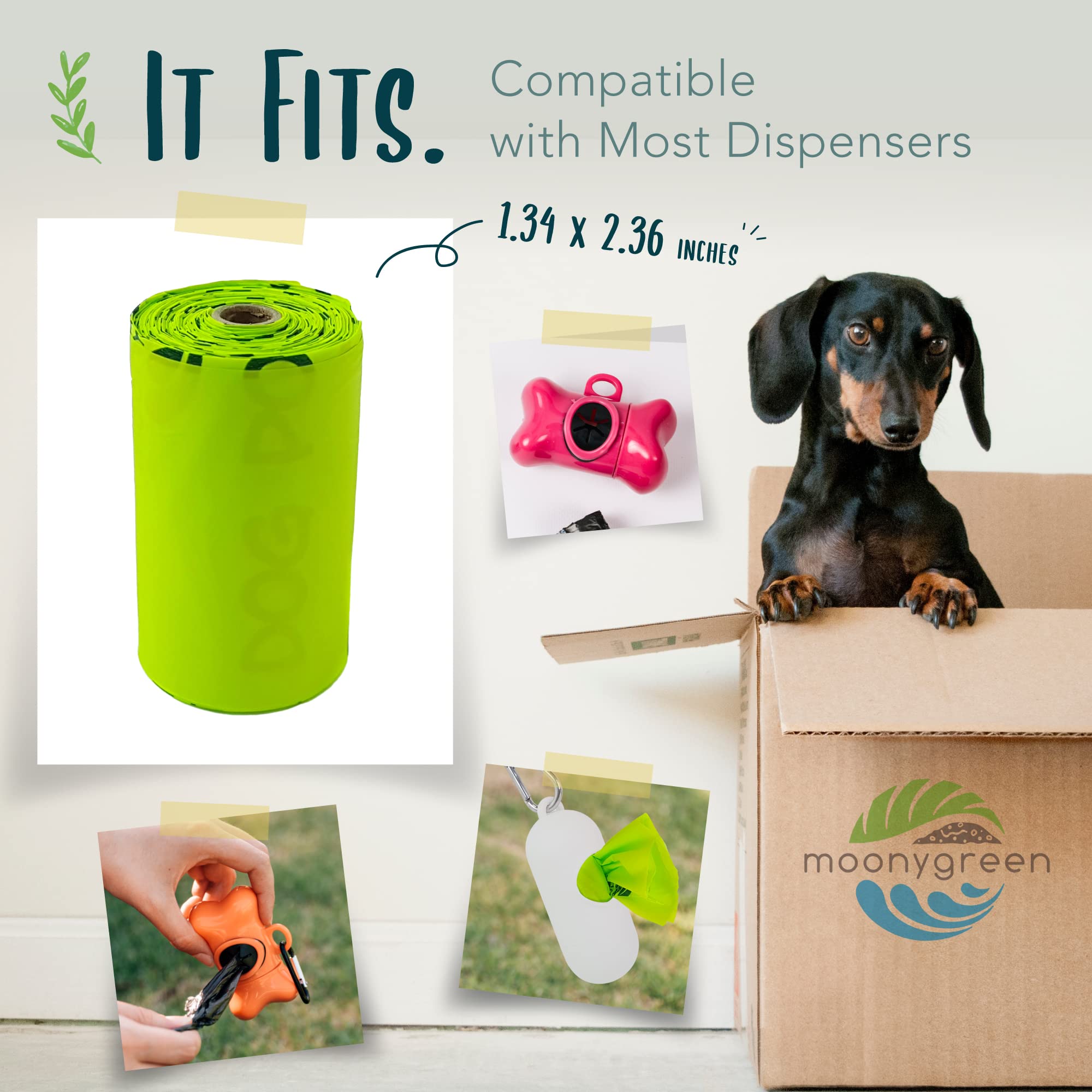 Moonygreen vegetable-based unscented bags preserve freshness with minimal odor