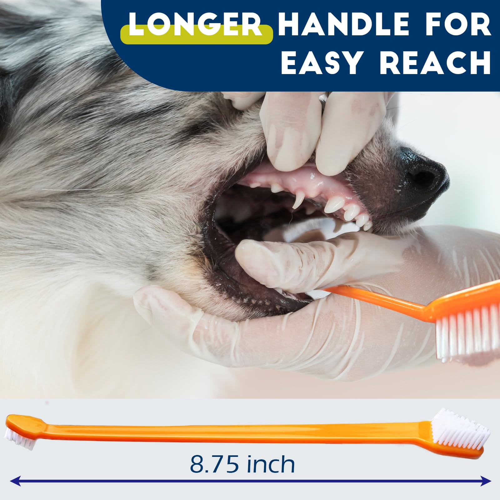 MoonyMars long handle helps reach every angle during brushing.