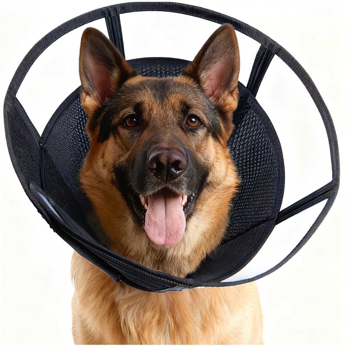 MoonyMars soft dog cone XL black outer view showing unobstructed movement
