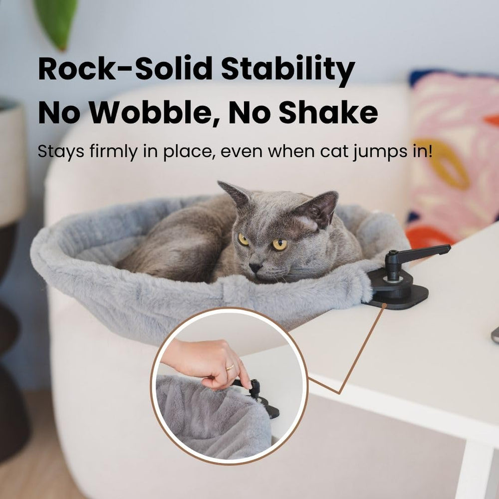 Moose Cozy supports cats up to 40 lbs with sturdy construction.