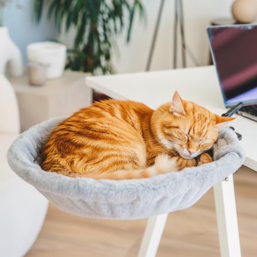 Moose Cozy cat desk bed mounted on desk for stable, nearby resting.