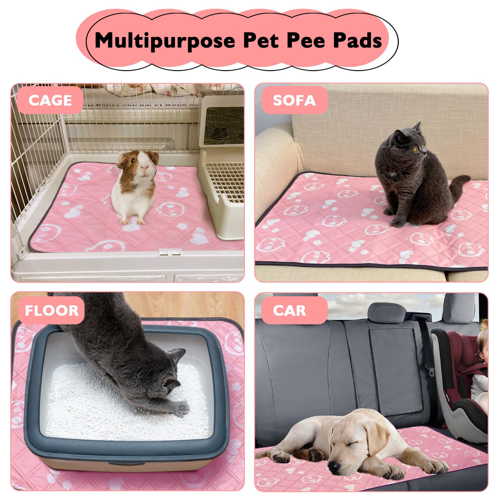 Mooydee pads protect floors by absorbing urine effectively.
