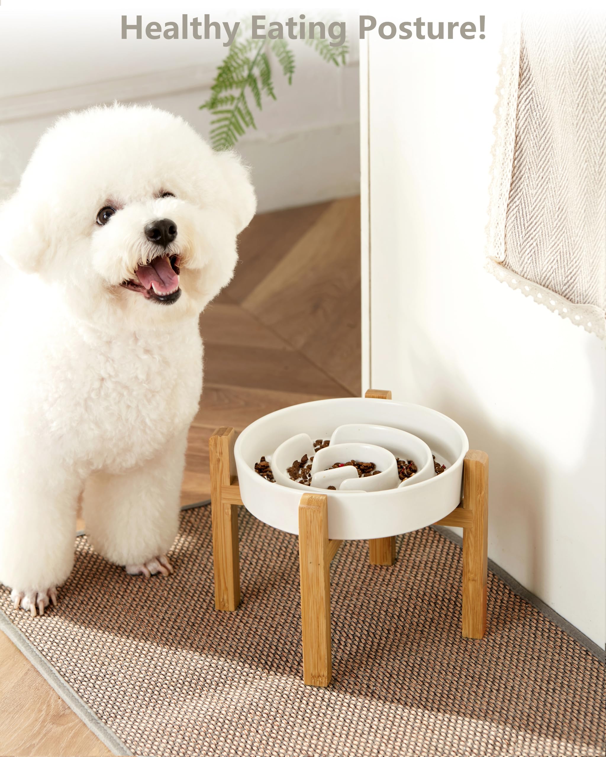 MOPANG elevated slow feeder bowl, 30oz white, supports comfortable mealtime posture.