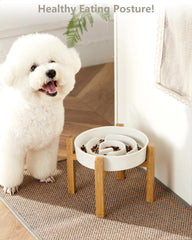 MOPANG elevated slow feeder bowl, 30oz white, supports comfortable mealtime posture.