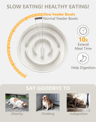 MOPANG puzzle maze design bowl for dogs engages meals and slows eating.