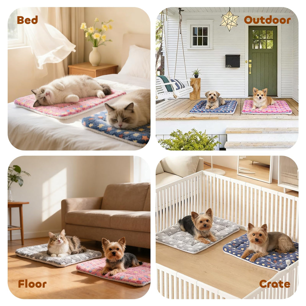 Mora Pets lightweight travel crate bed for on the go pets