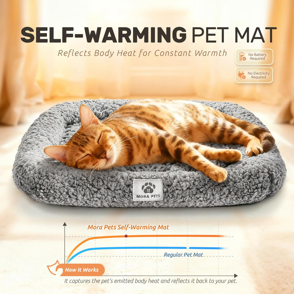 Mora Pets self warming bed with bolster-foam-fill offers comfortable lounging