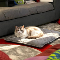 Mora Pets bed with thick stuffing cushions pets while trapping heat.