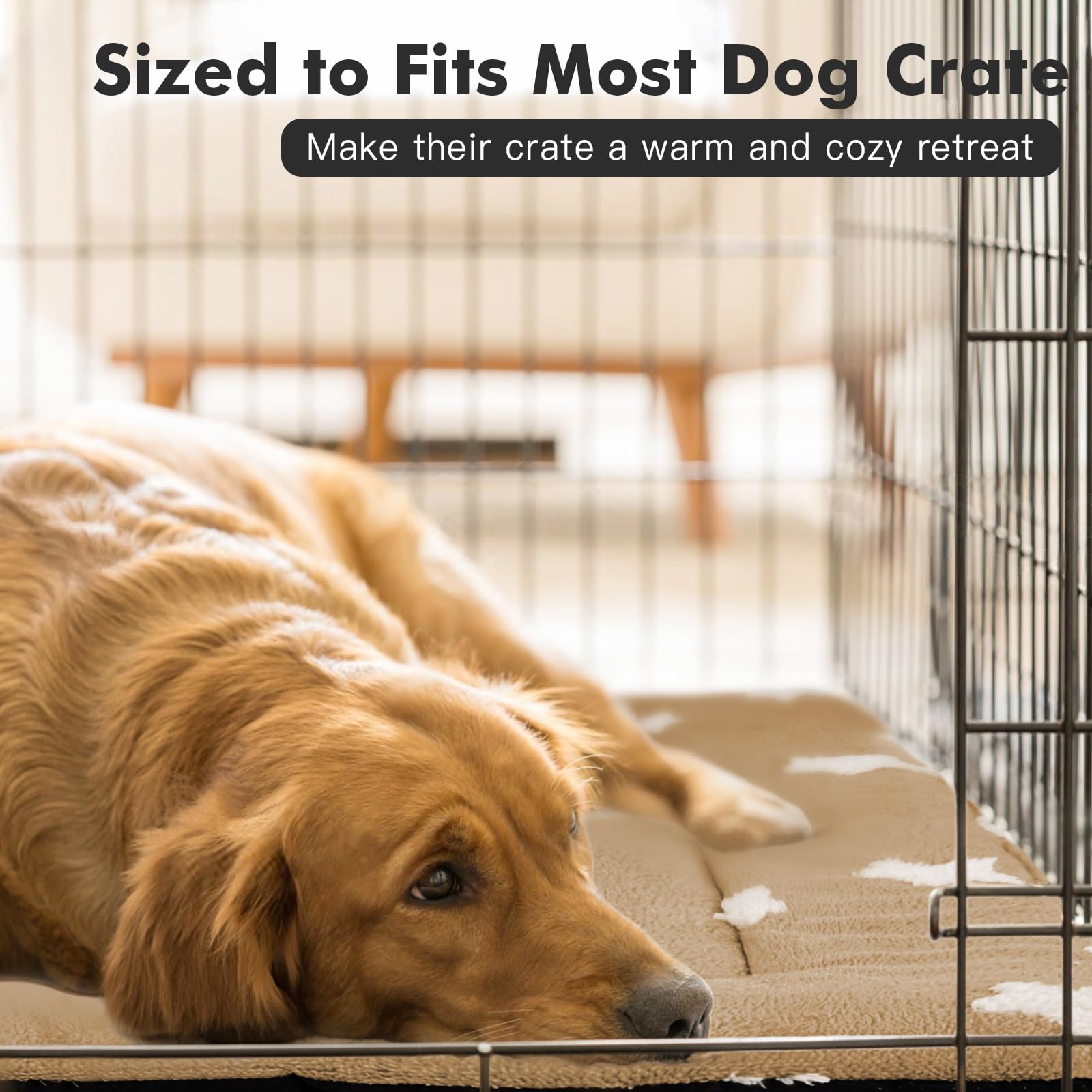Mora Pets small dog bed fitting pets up to 20 lbs in crate