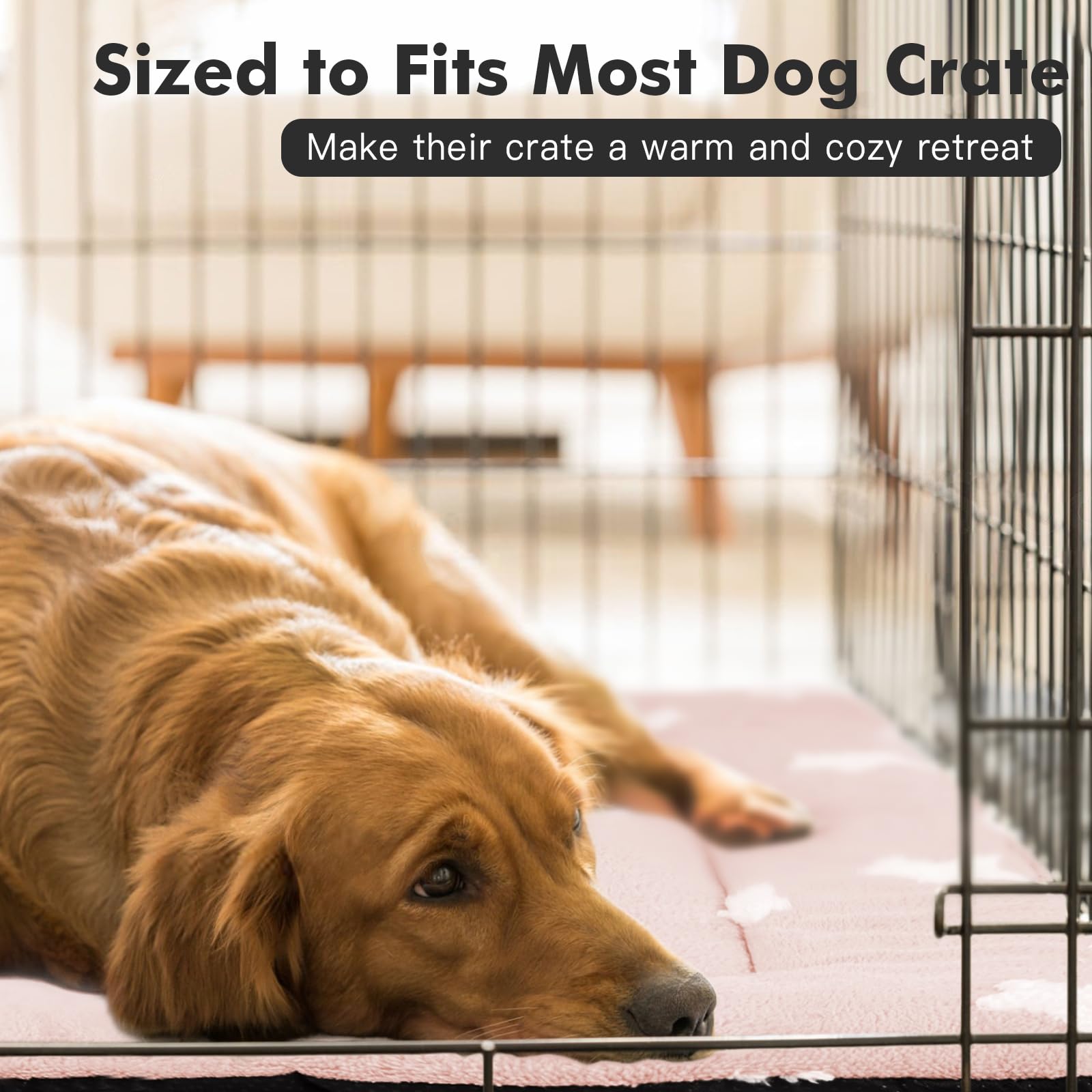 Mora Pets small dog bed 24x18 ideal crate fit for compact pups.