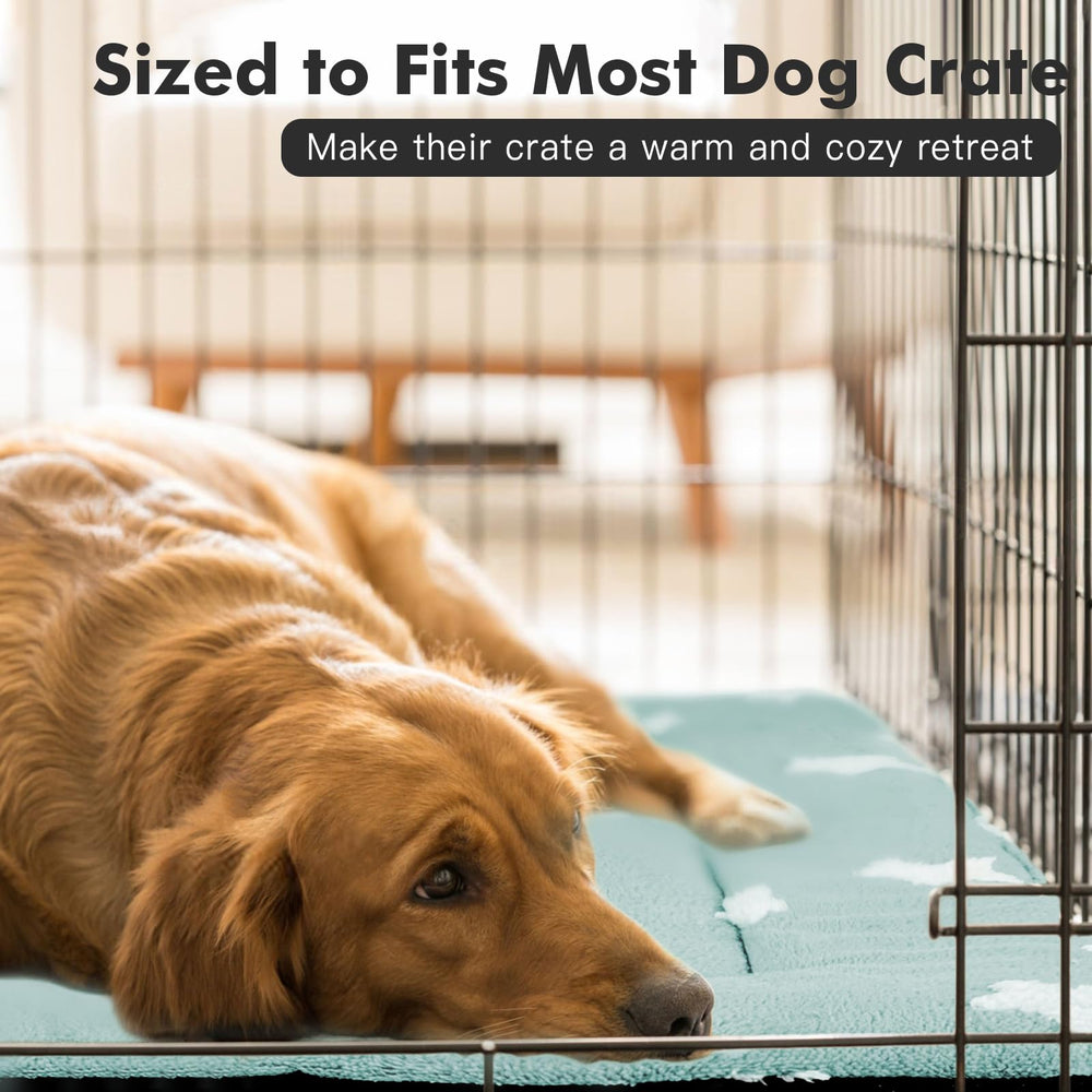 Mora Pets star-pattern blue bed creates cozy crate space.