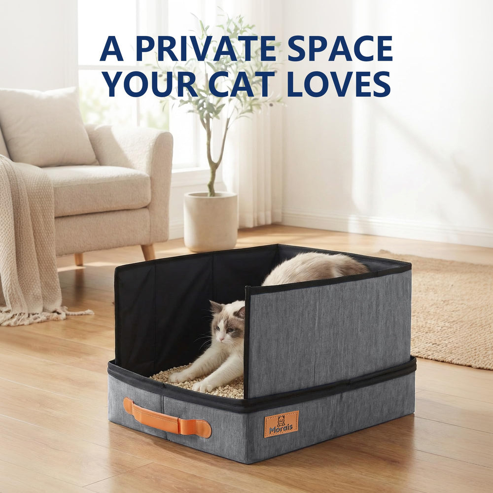 MORAIS spacious design fits kittens and adult cats.