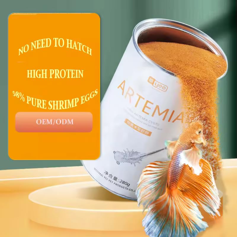MorexLab decapsulated brine shrimp eggs being fed, convenient non-hatching option for tanks
